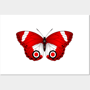 Red Butterfly Posters and Art